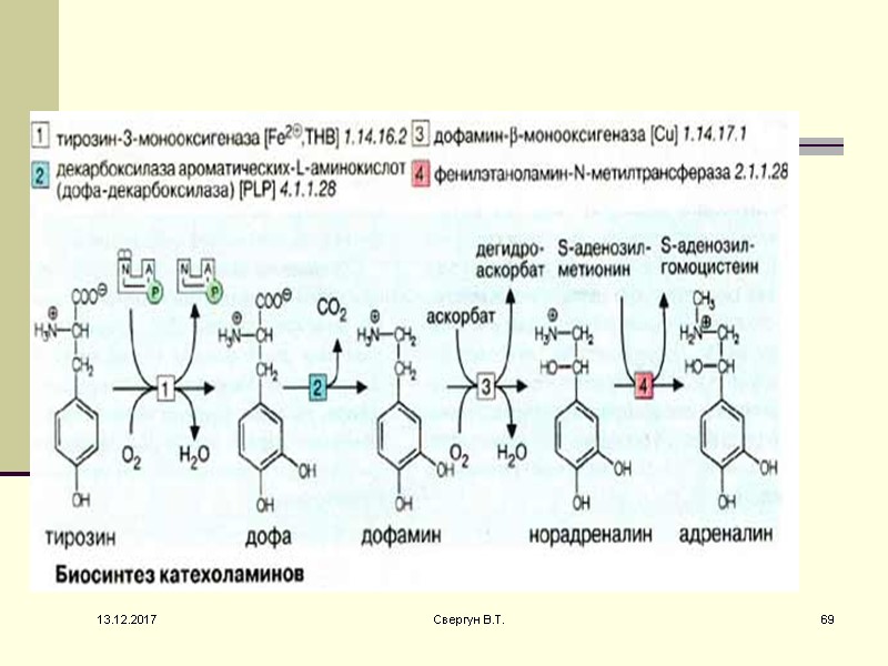 13.12.2017 69 Свергун В.Т.